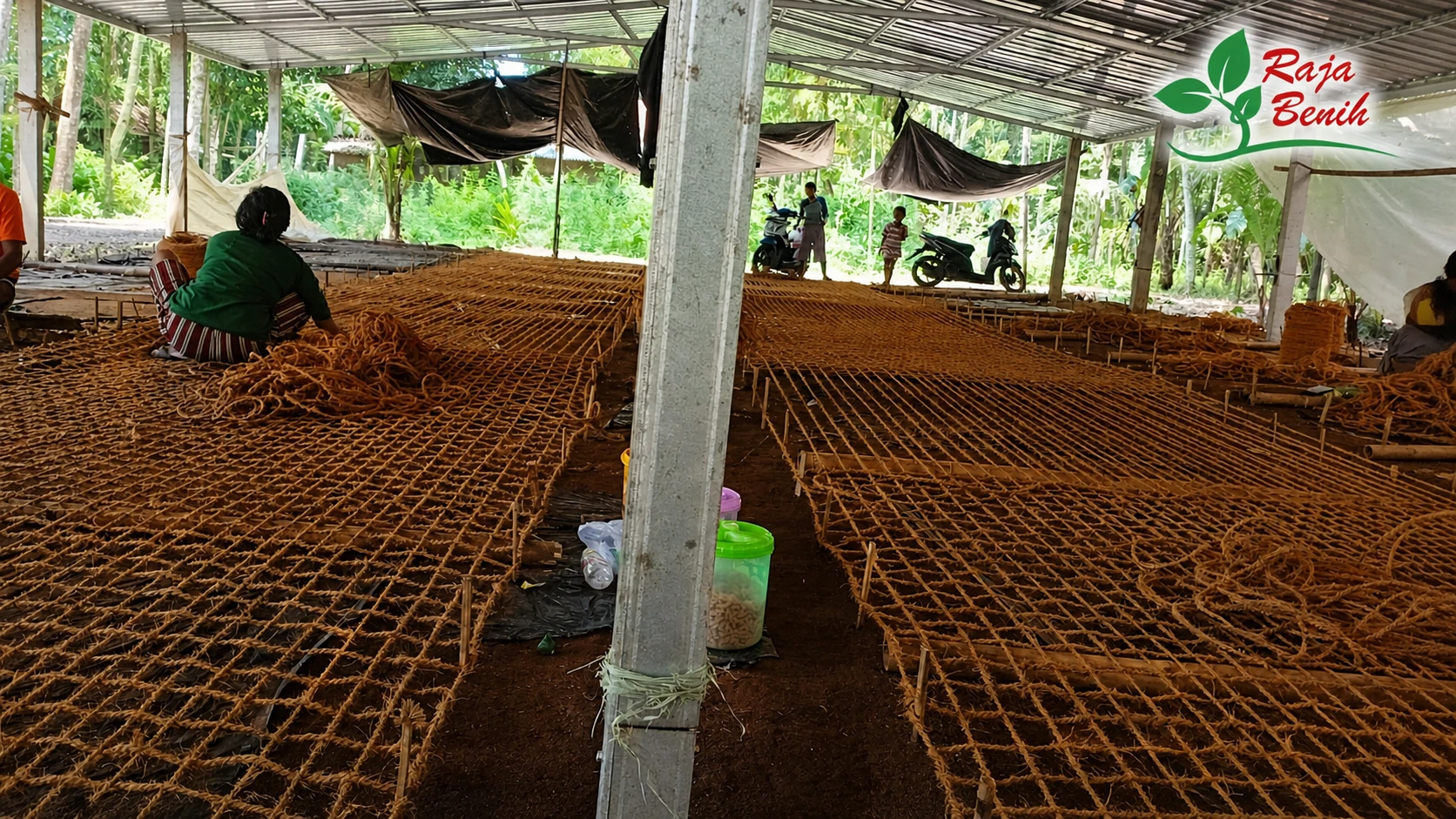 Cocomesh Hydroseeding untuk Penguatan Lahan dan Revegetasi